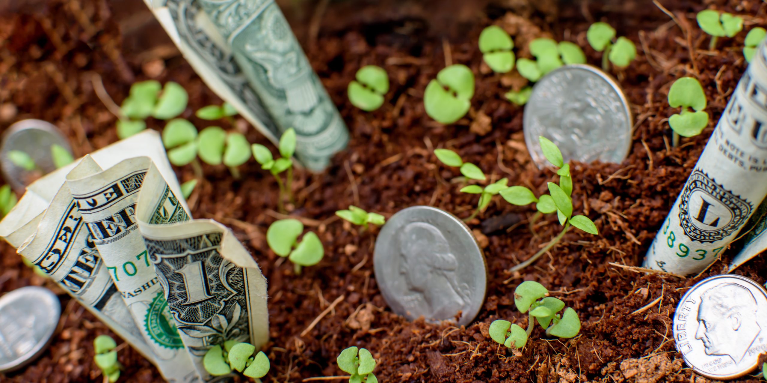 Seed Funding 101: What Founders Need to Know